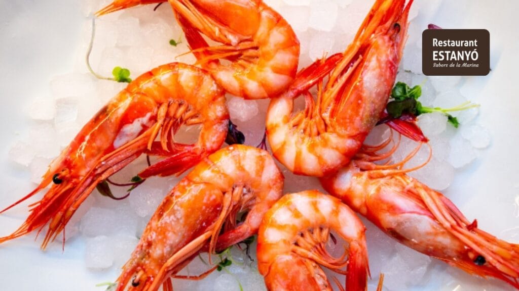 1.1 gamba roja de denia
