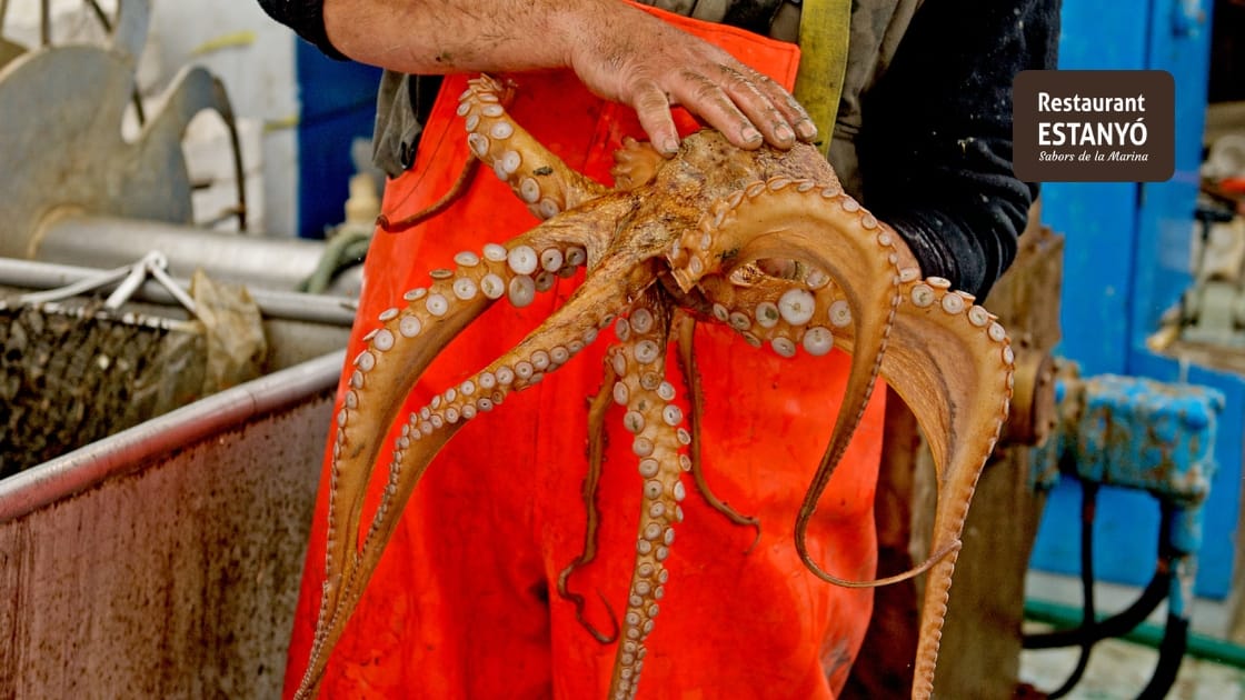 4.1 como se pesca el pulpo